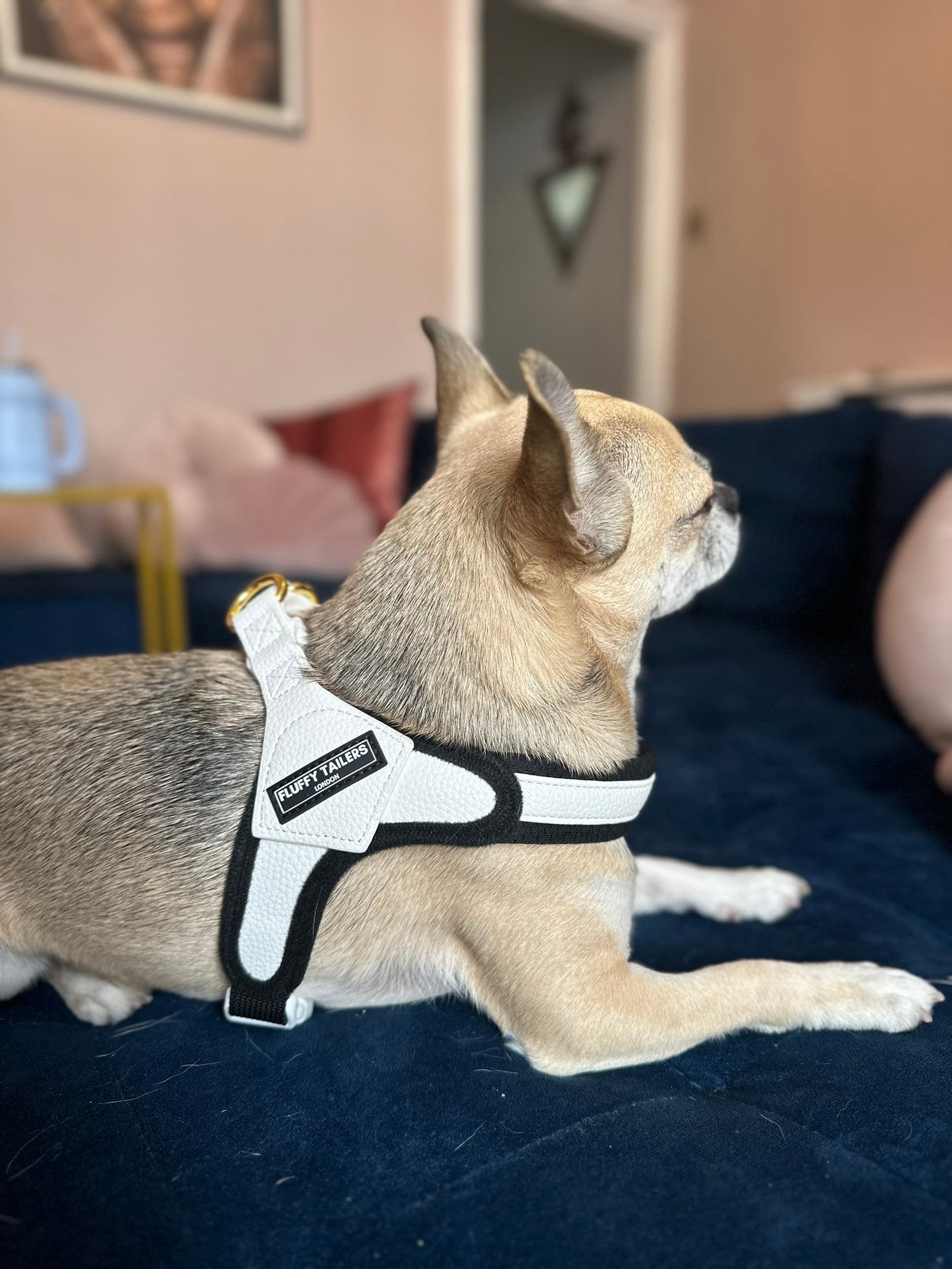 White Vegan Leather Collection- Harness, Collar, Lead and Poo Bag Holder