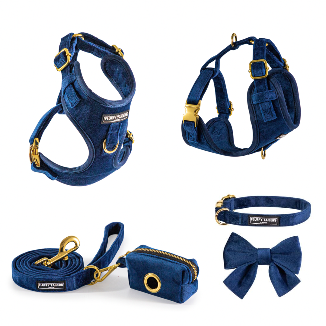 Collar leash harness deals set