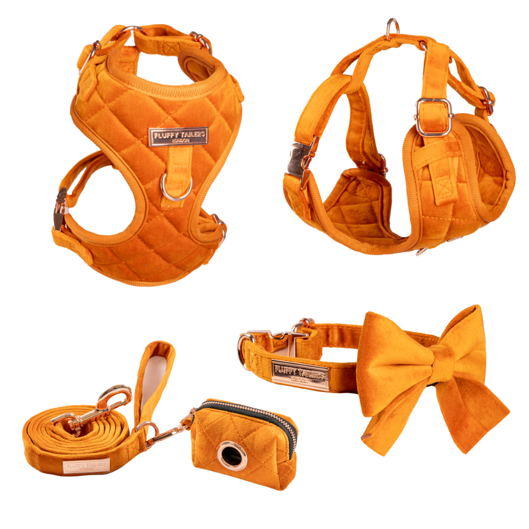 Elegant Orange Collection