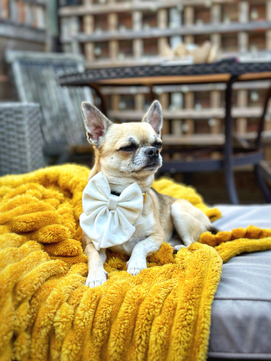 Lush White Velvet Bow Tie