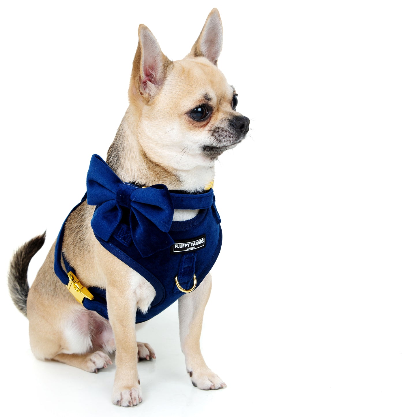 Royal Velvet Collection- Dog Harness, Collar, Bow Tie, Leash and Bag Holder