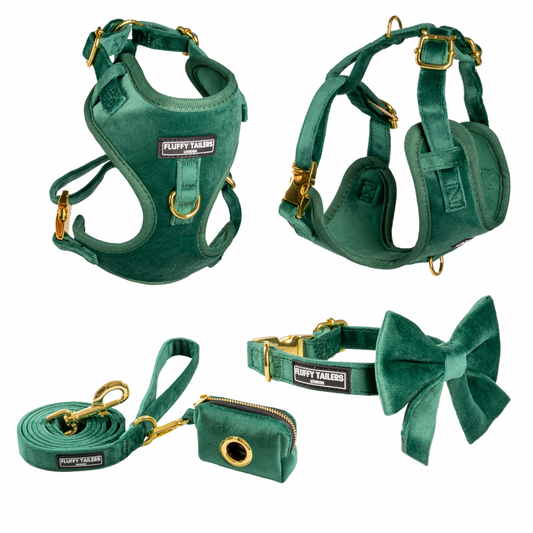 Emerald Green Collection- Dog Harness, Collar, Bow Tie, Lead and Poop Bag Holder