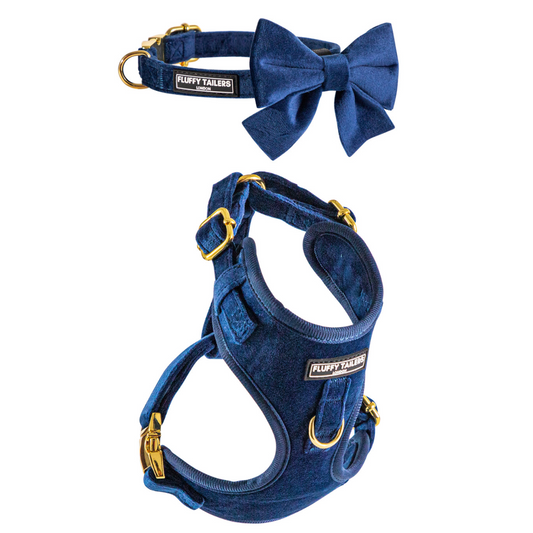 Royal Velvet Harness, Collar and Bow Tie