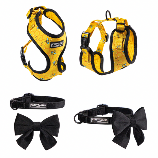 Bee Kind Collection- Harness, Collar and Bow Tie