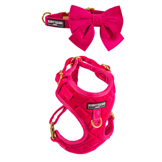 Pretty in Pink Harness, Collar and Bow