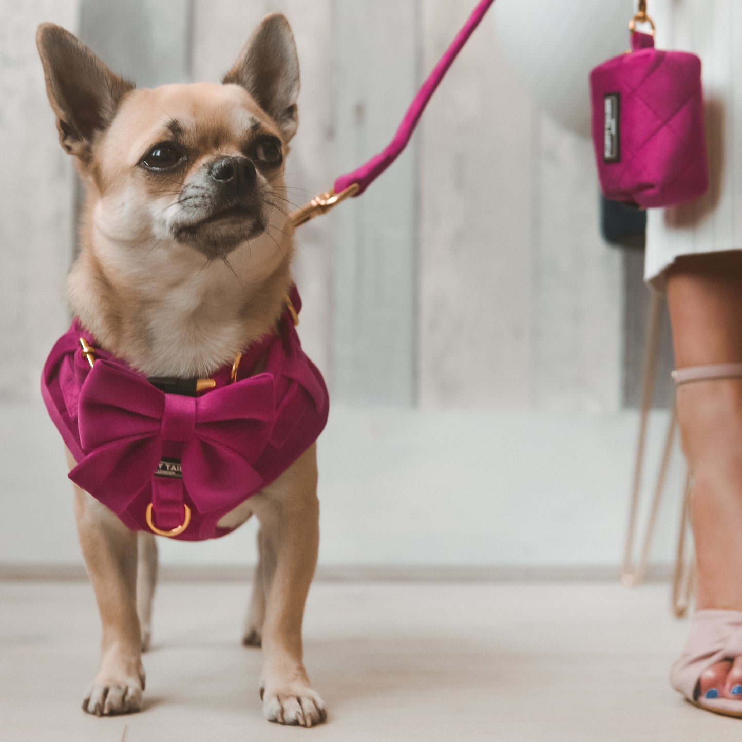 Pretty in Pink Collection- Dog Harness, Collar, Bow Tie, Lead and Poop Bag Holder