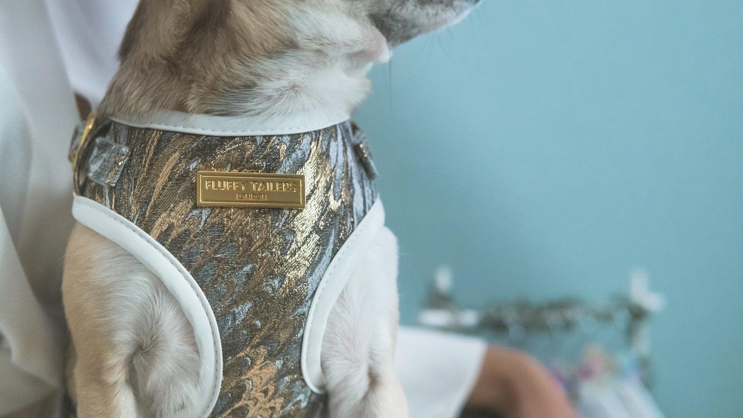 Luxury Occasion Harness