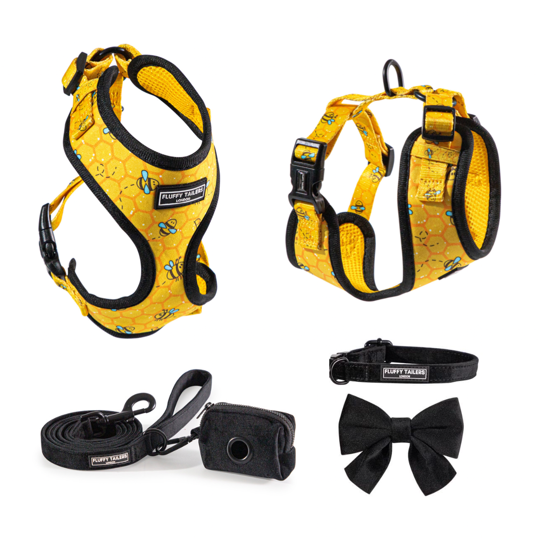 Bee Kind Collection- Dog Harness, Collar, Bow Tie, Lead and Poop Bag Holder