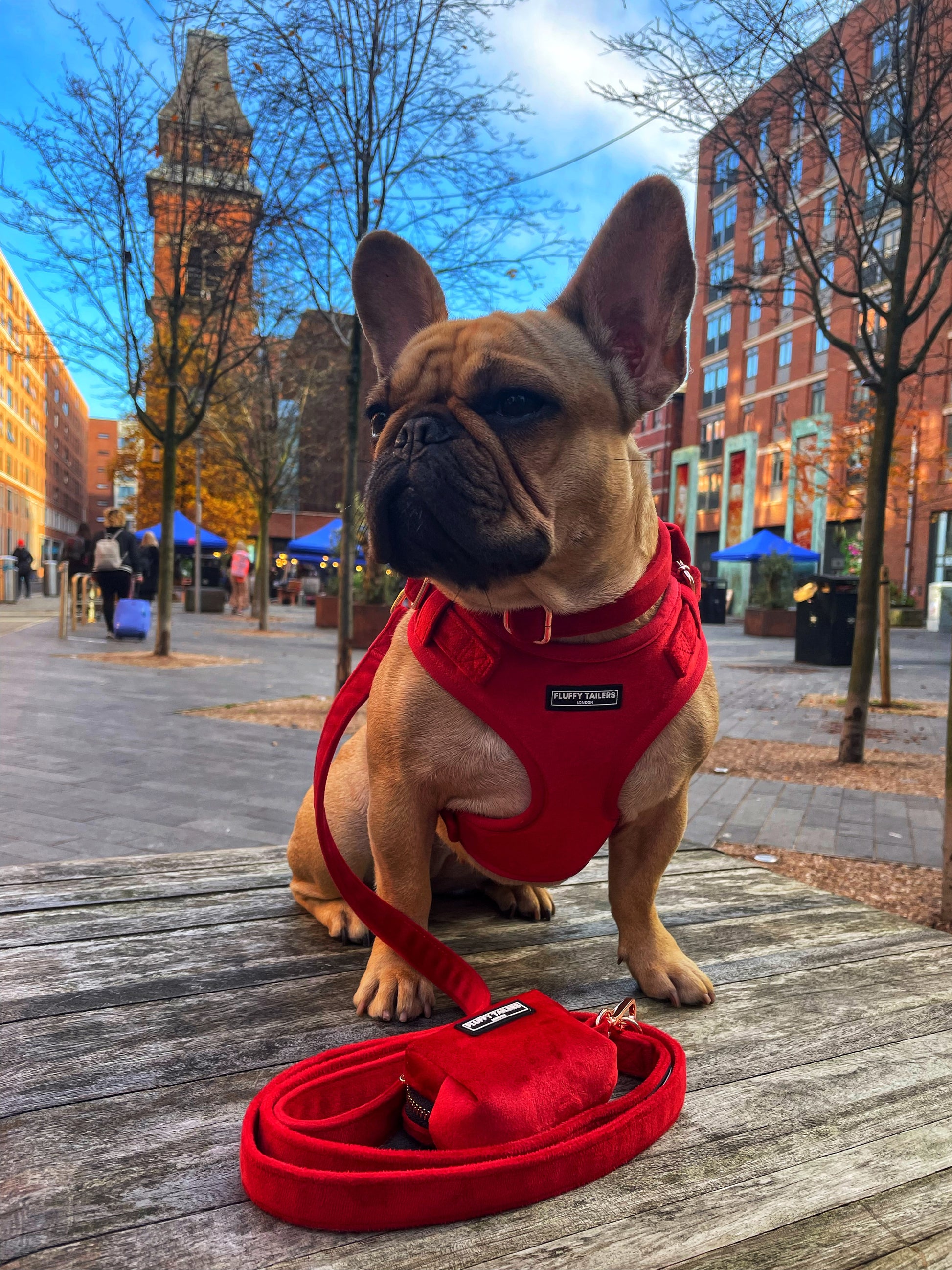 Luxury Velvet Leash and Poop Bag Holder