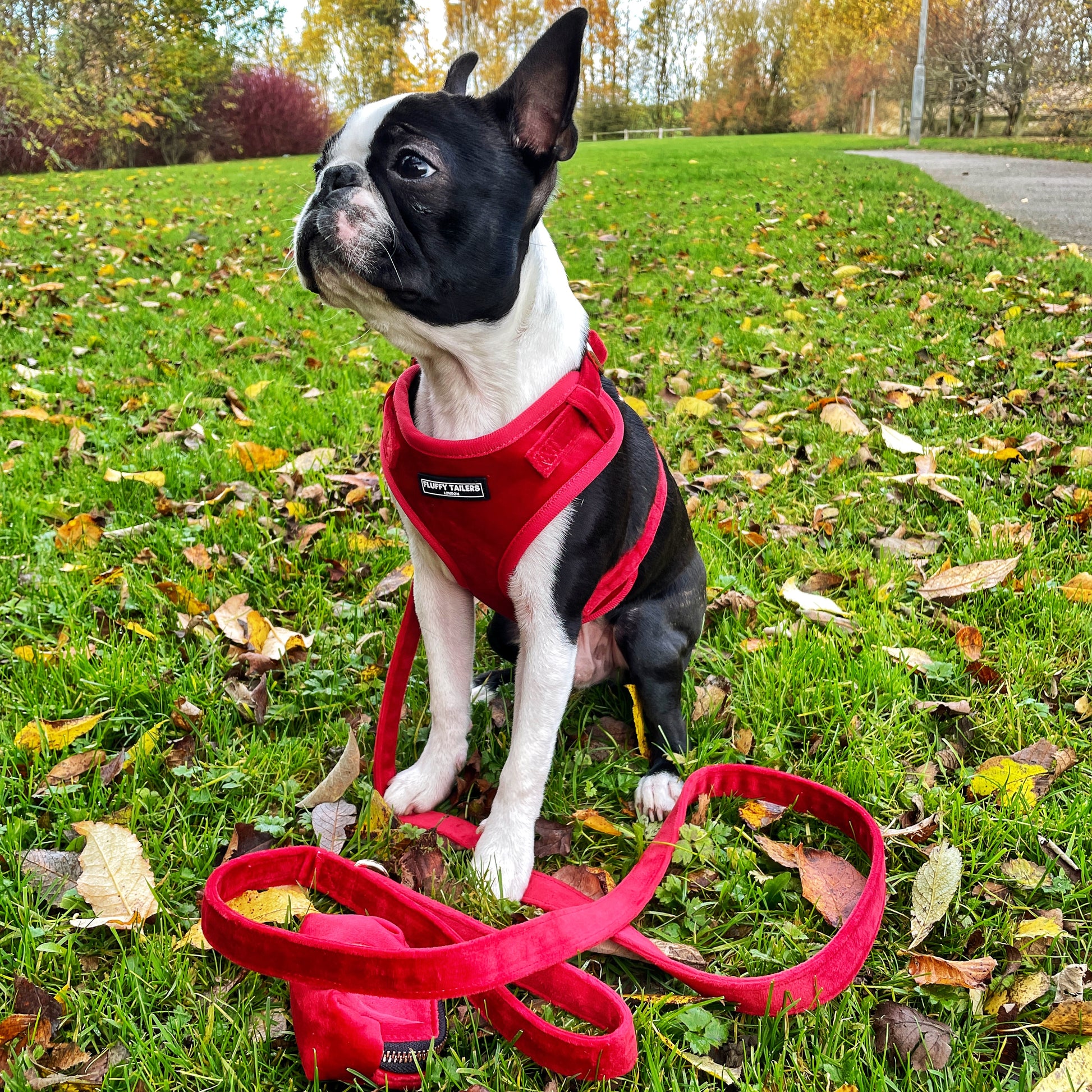 Luxury Velvet Leash and Poop Bag Holder