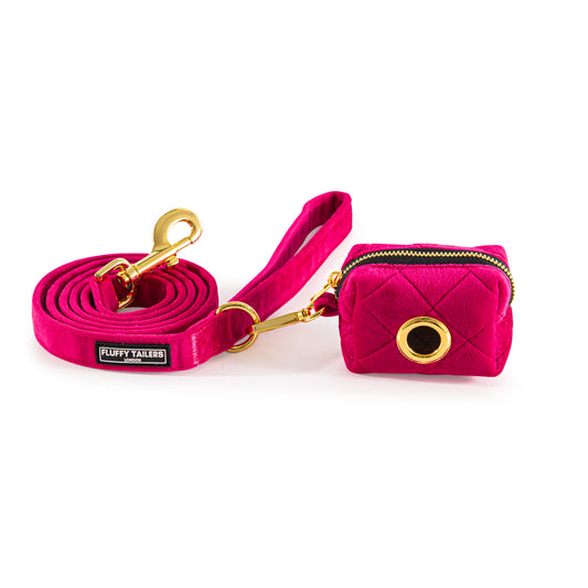 Pretty in Pink Leash and Poo Bag Holder