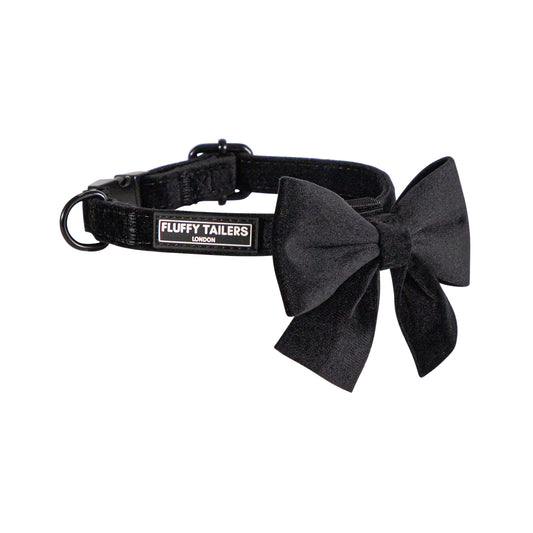 Classic Black Velvet Collar and Bow Tie