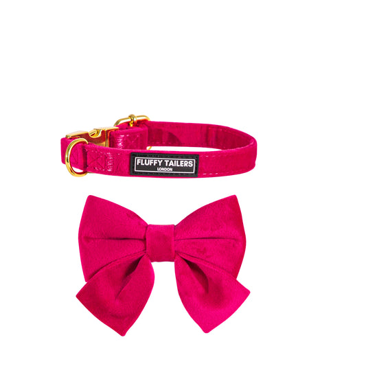 Pretty in Pink Collar and Bow