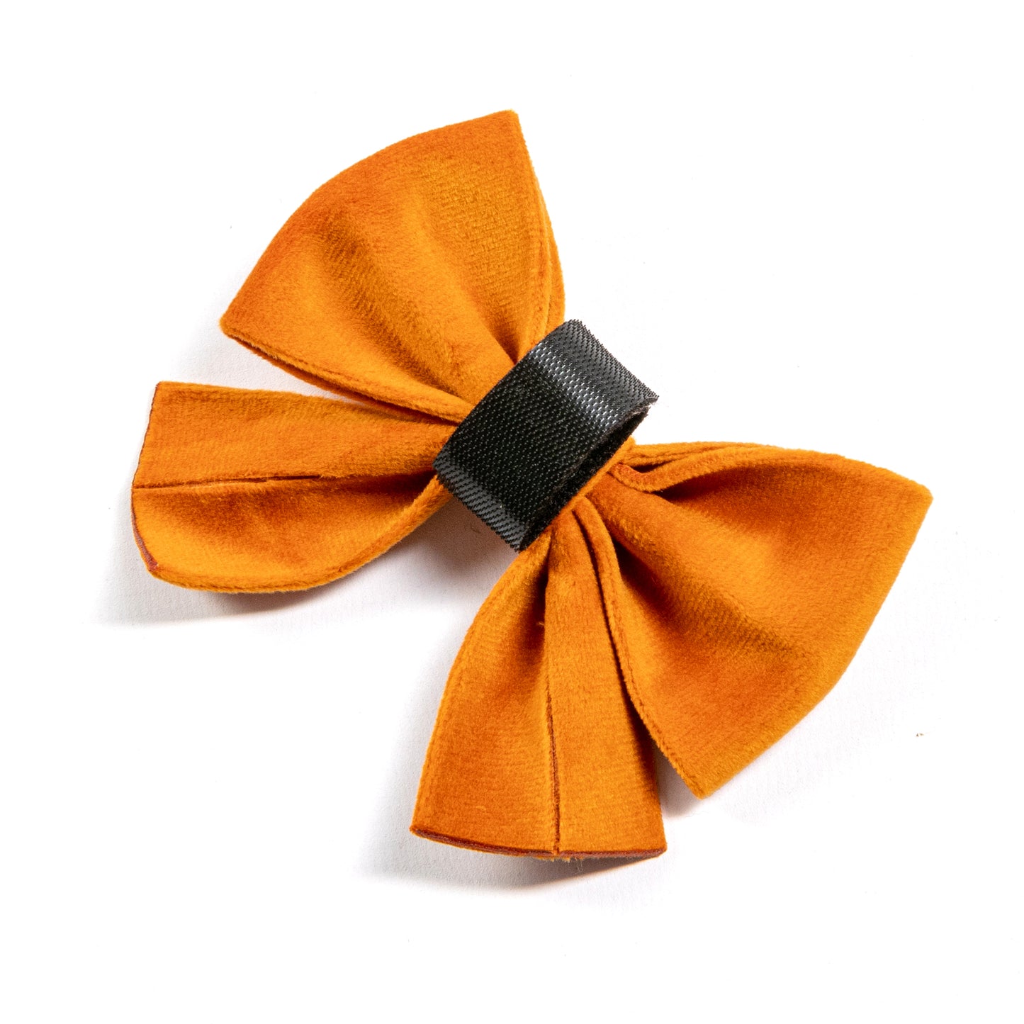 Elegant Orange Velvet Collar and Bow
