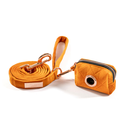 Elegant Orange Leash and Poop Bag Holder