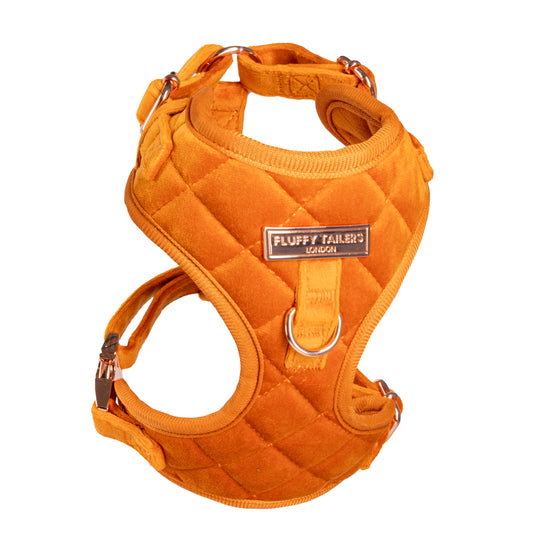 Elegant Orange Velvet Collection- Dog Harness, Collar, Bow Tie, Lead and Poop Bag Holder