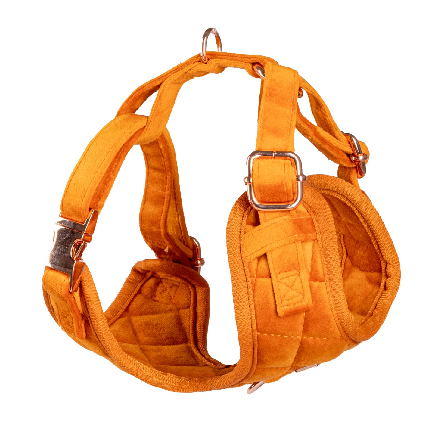 Elegant Orange Velvet Collection- Dog Harness, Collar, Bow Tie, Lead and Poop Bag Holder