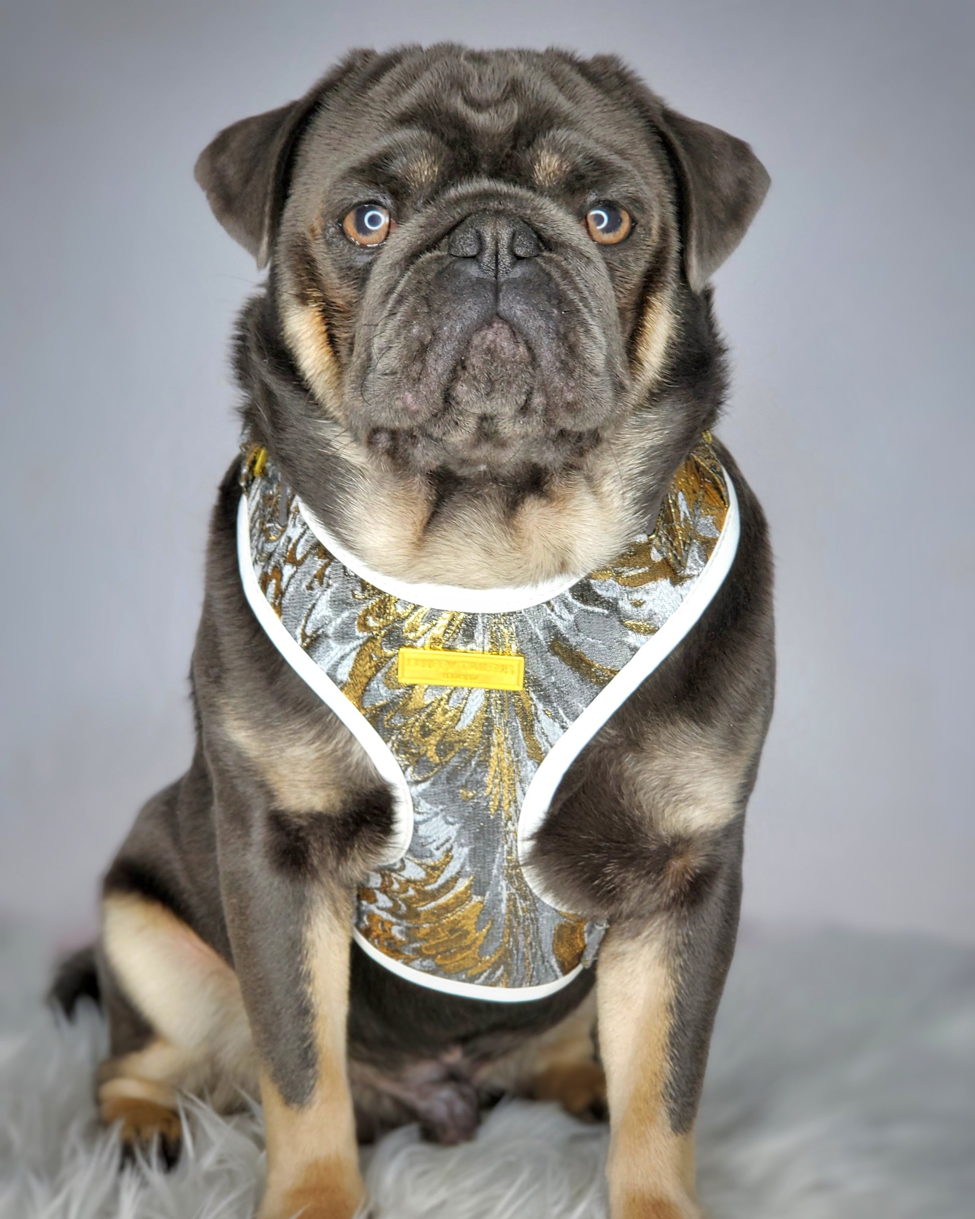 Designer Dog Harnesses  Small Dog Harnesses UK – Pugalier of London